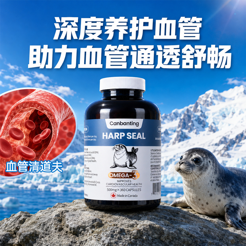 微信图片_20260819134246_287_50